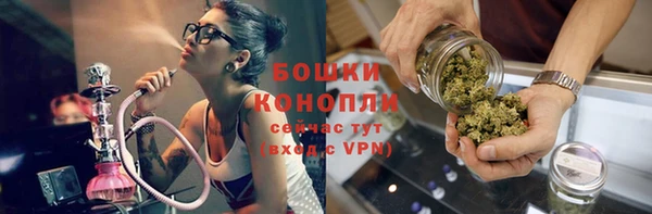 соль ск Богданович