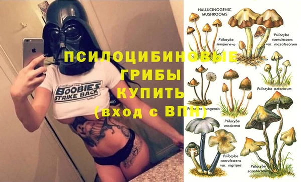 каннабис Белокуриха