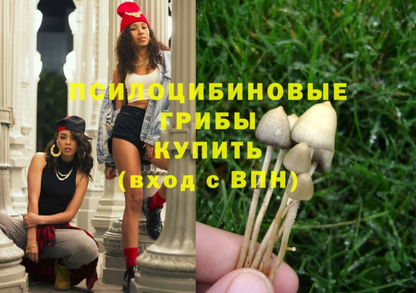 гидропоника Белоозёрский