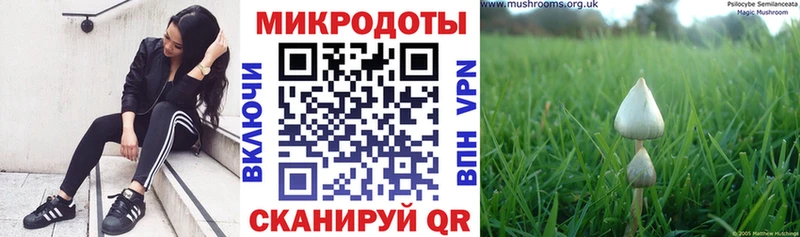 Галлюциногенные грибы мицелий  Пикалёво 